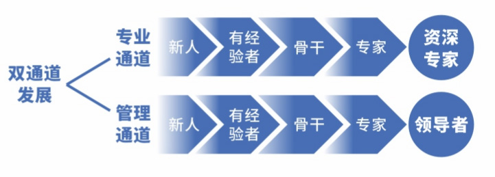 人才培養(yǎng)計劃2.jpg